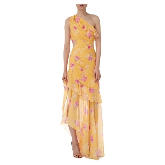 AMUR Vi Silk Yellow Floral Dress - Picture 1 of 7